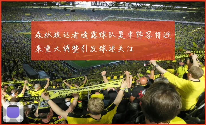 森林狼记者透露球队夏季阵容将迎来重大调整引发球迷关注